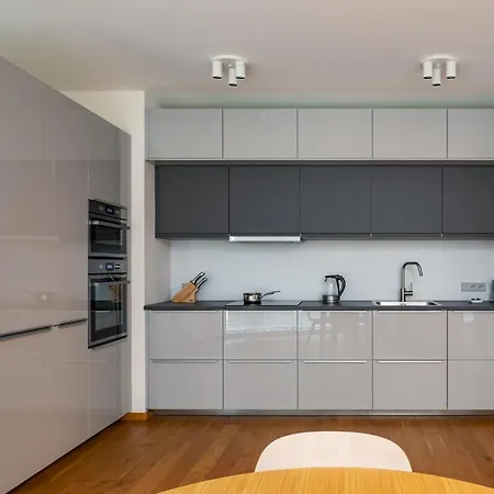 Airy & Stylish Flat In Smichov By Days